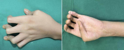 419x172_6878e92490184.png?X-Amz-Content-